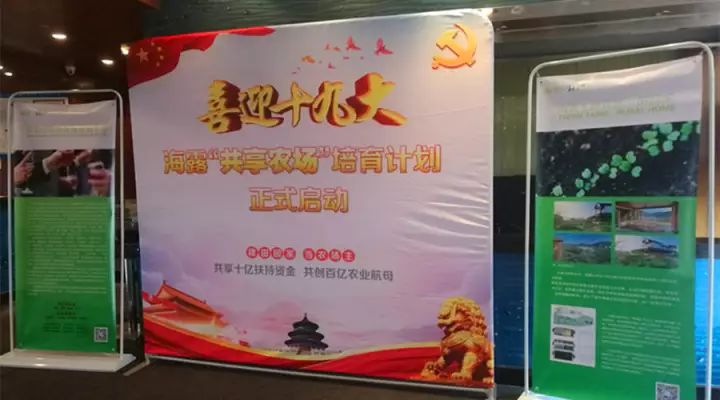 首页-PA真人集团有限公司官网