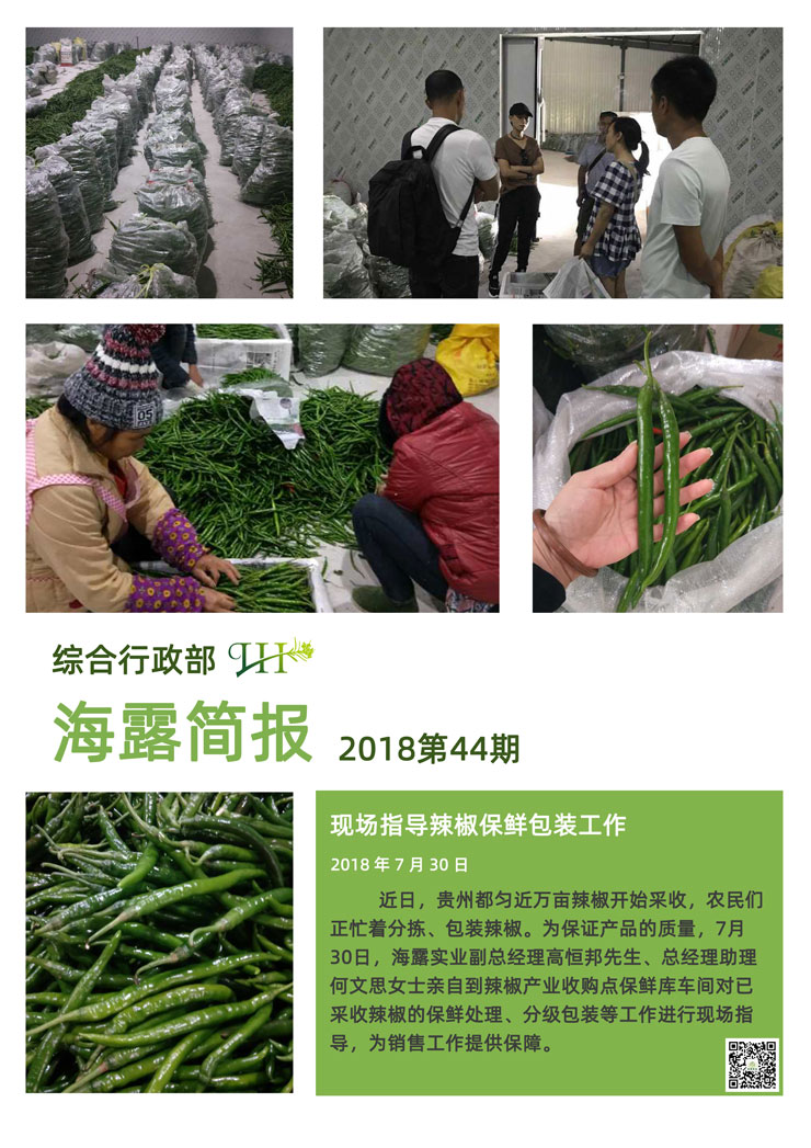 首页-PA真人集团有限公司官网