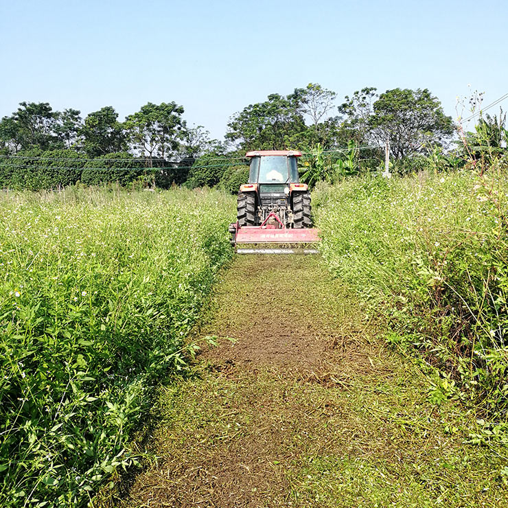 首页-PA真人集团有限公司官网