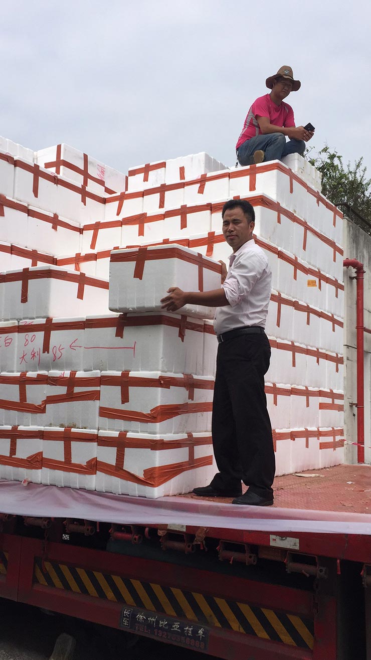 首页-PA真人集团有限公司官网