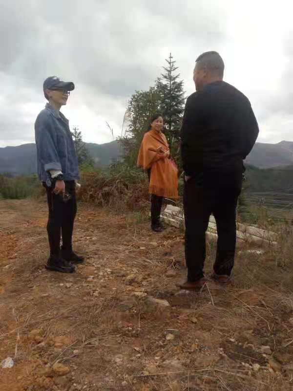 首页-PA真人集团有限公司官网