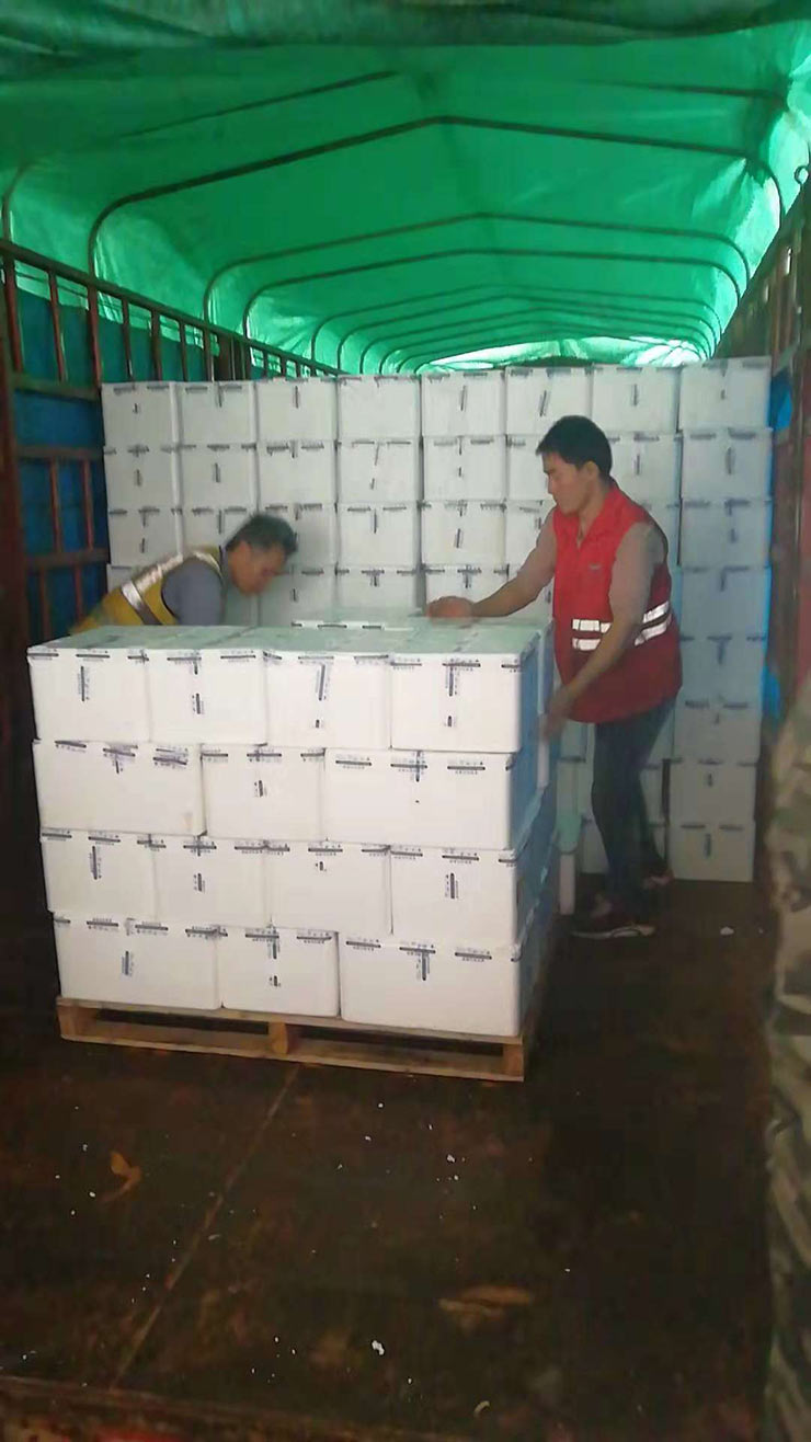 首页-PA真人集团有限公司官网