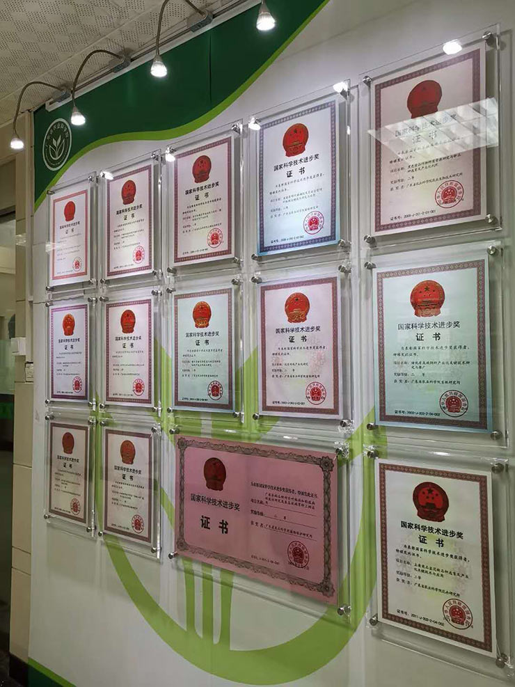 首页-PA真人集团有限公司官网