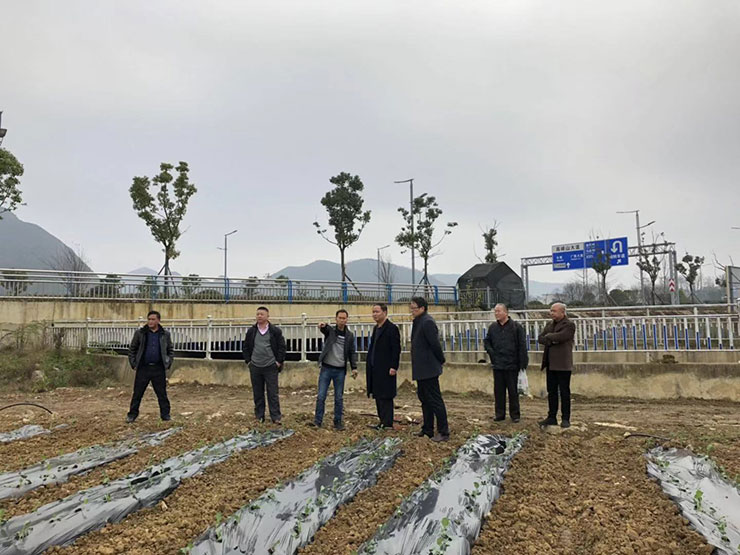 首页-PA真人集团有限公司官网