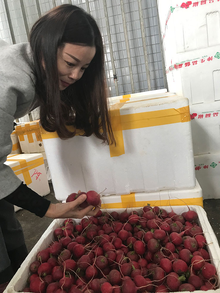 首页-PA真人集团有限公司官网