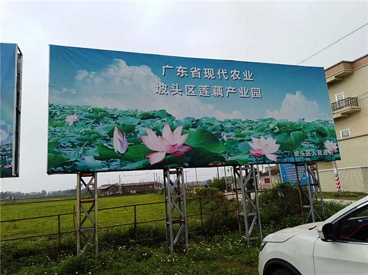 首页-PA真人集团有限公司官网