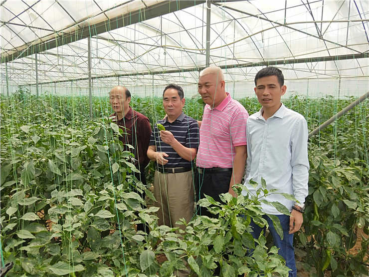 首页-PA真人集团有限公司官网