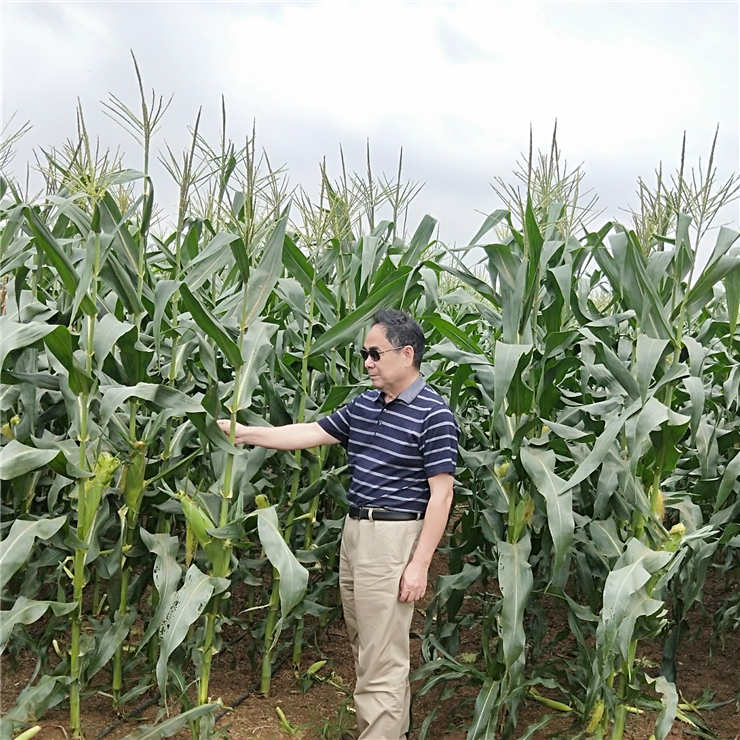 首页-PA真人集团有限公司官网