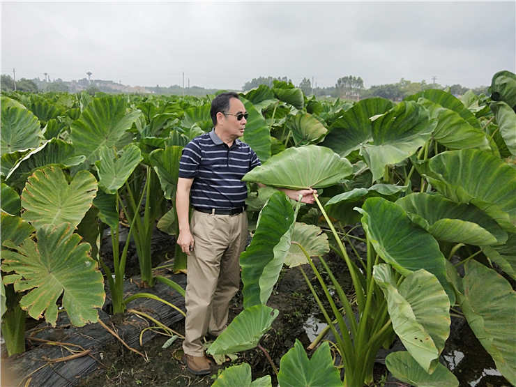 首页-PA真人集团有限公司官网