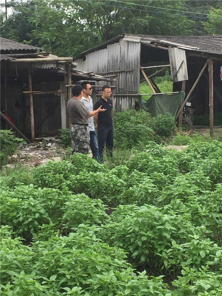 首页-PA真人集团有限公司官网