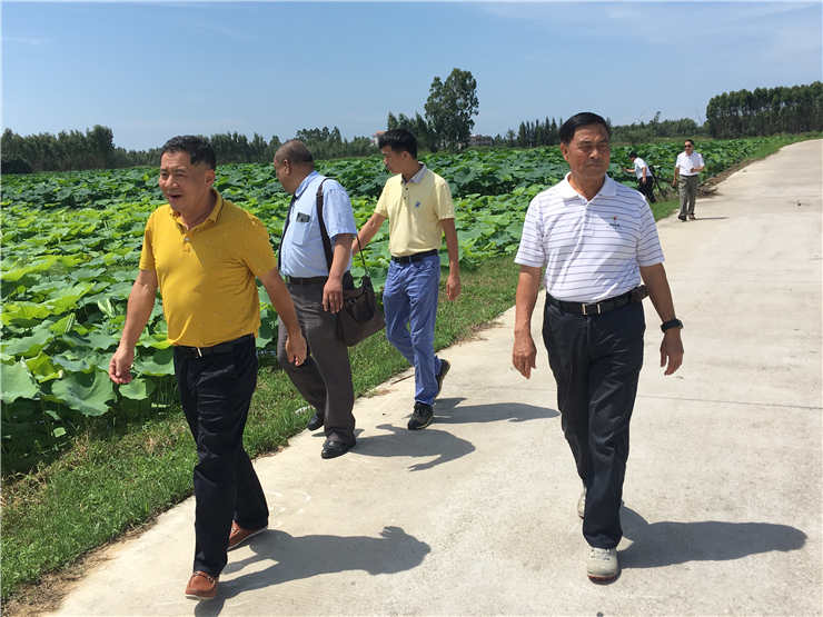 首页-PA真人集团有限公司官网