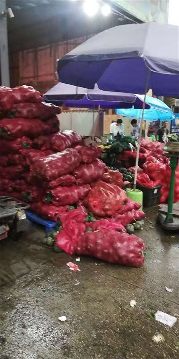 首页-PA真人集团有限公司官网