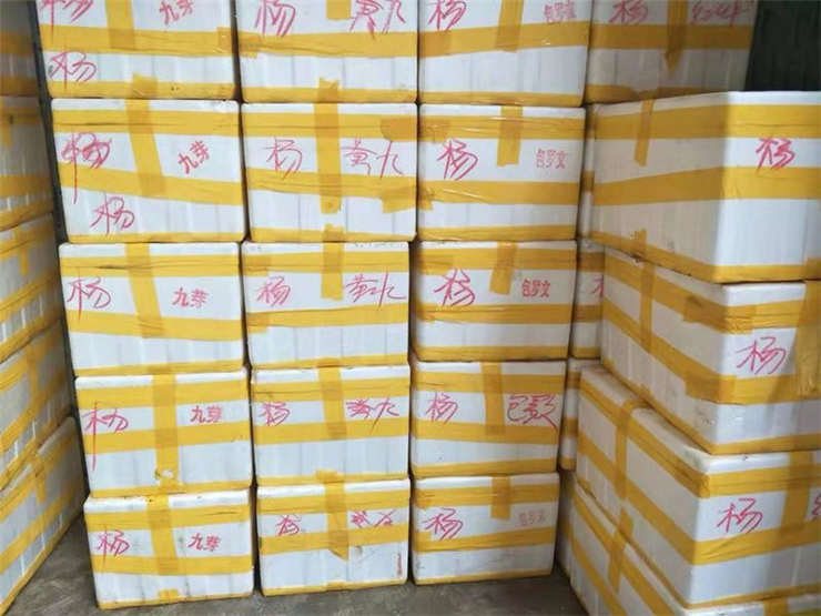 首页-PA真人集团有限公司官网