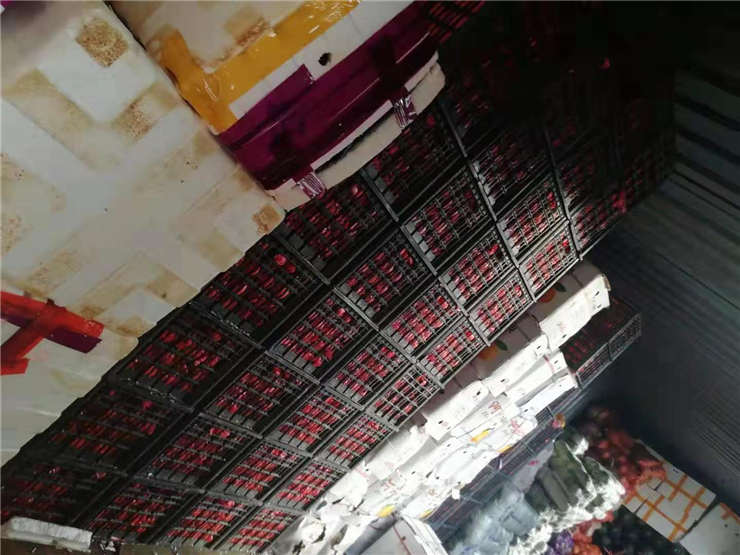 首页-PA真人集团有限公司官网