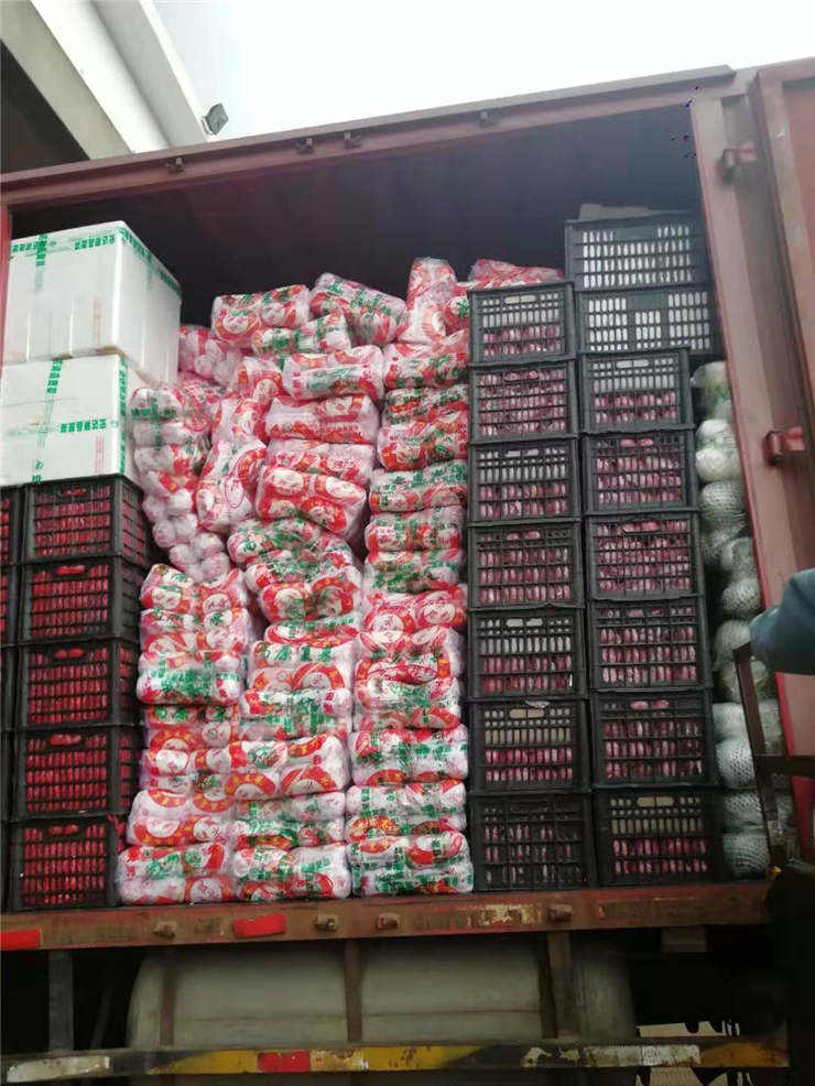 首页-PA真人集团有限公司官网