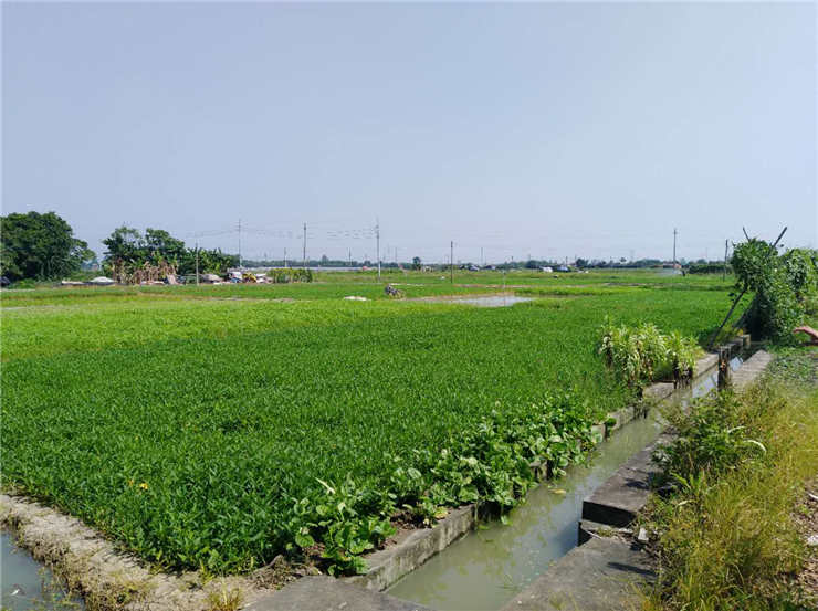 首页-PA真人集团有限公司官网