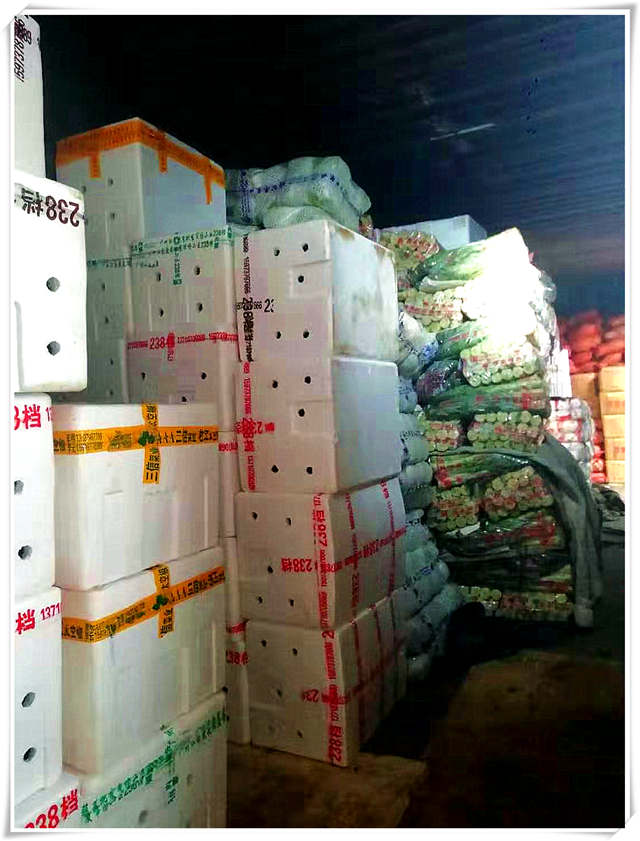 首页-PA真人集团有限公司官网