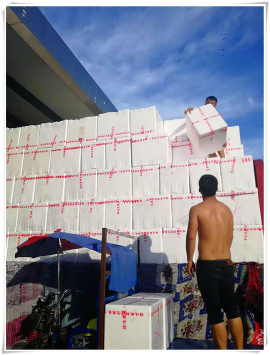 首页-PA真人集团有限公司官网