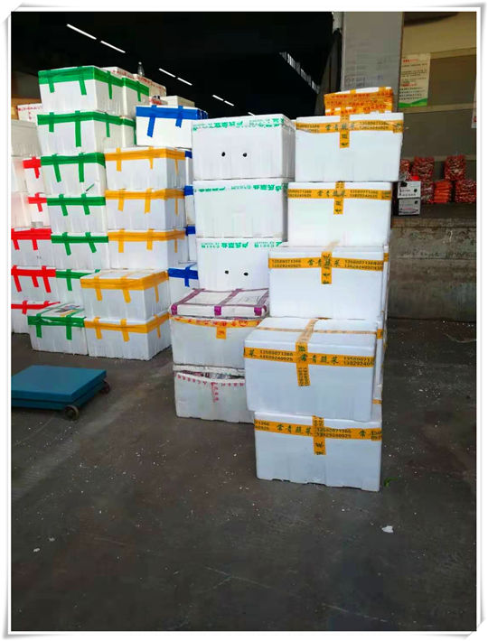 首页-PA真人集团有限公司官网