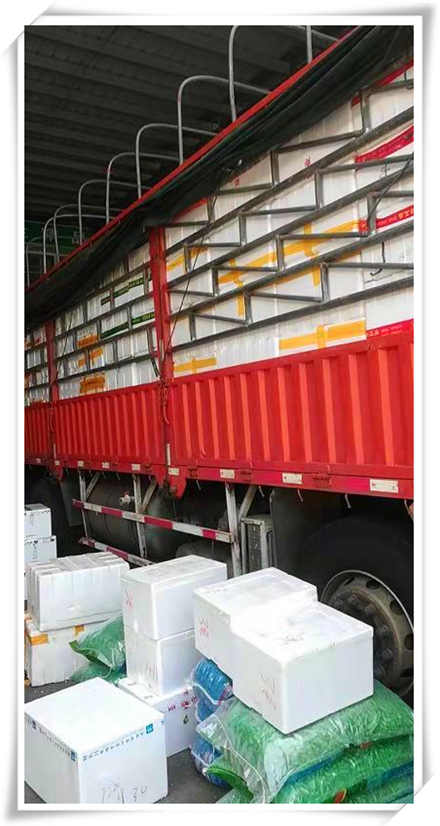 首页-PA真人集团有限公司官网