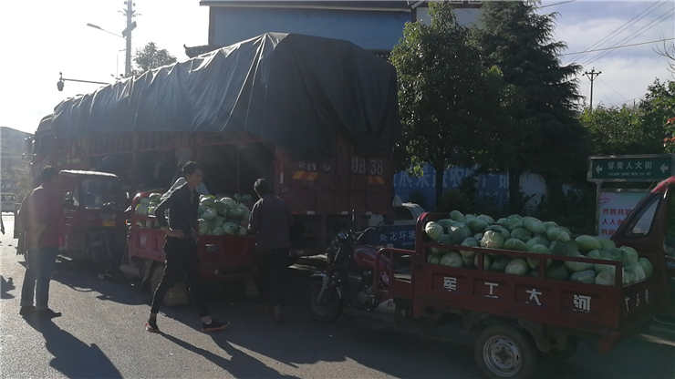 首页-PA真人集团有限公司官网