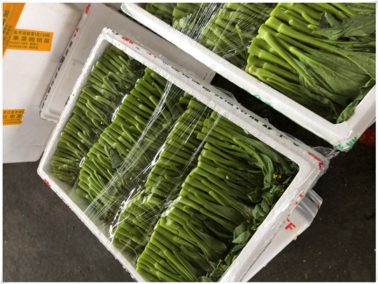 首页-PA真人集团有限公司官网