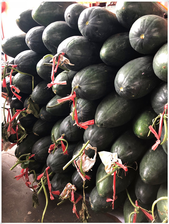 首页-PA真人集团有限公司官网