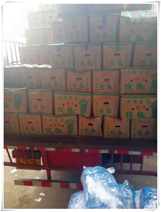 首页-PA真人集团有限公司官网