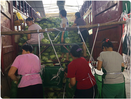 首页-PA真人集团有限公司官网