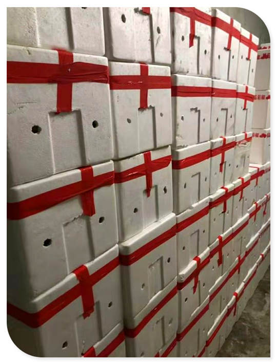 首页-PA真人集团有限公司官网