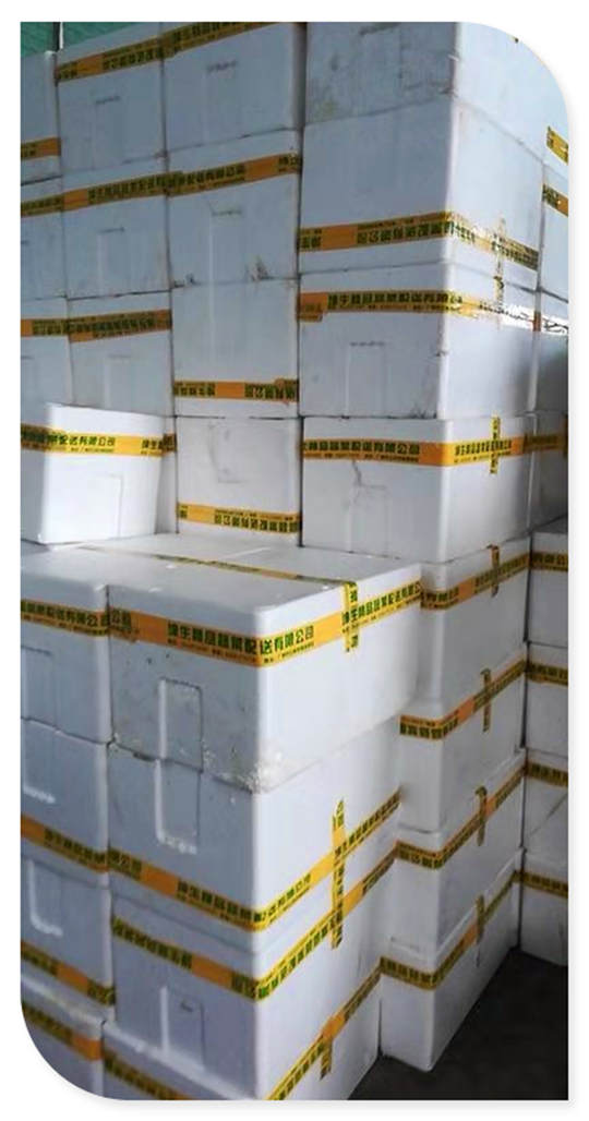 首页-PA真人集团有限公司官网