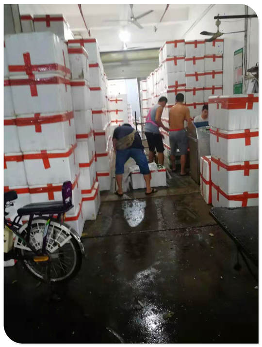 首页-PA真人集团有限公司官网