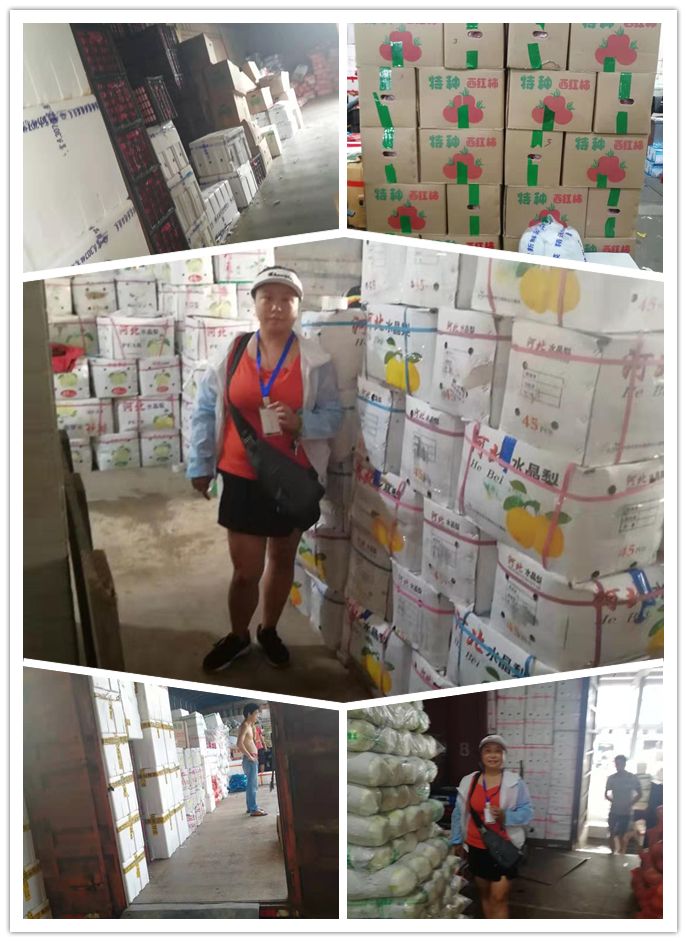 首页-PA真人集团有限公司官网