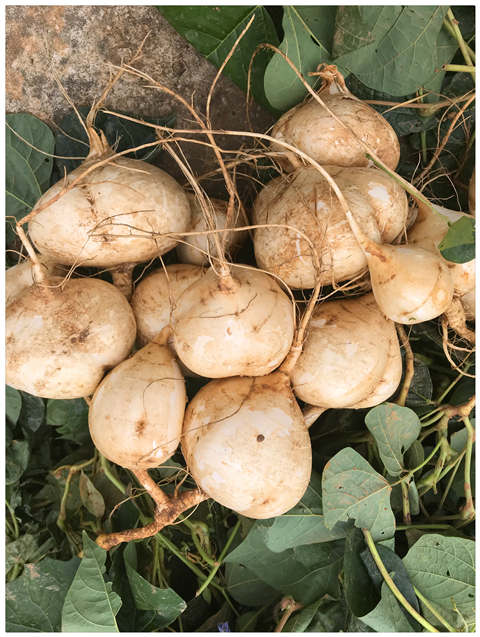 首页-PA真人集团有限公司官网