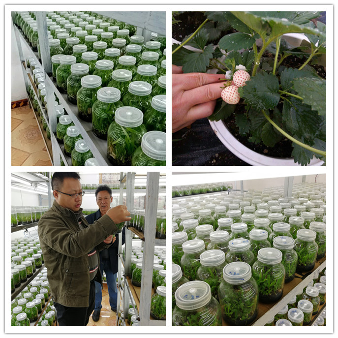 首页-PA真人集团有限公司官网