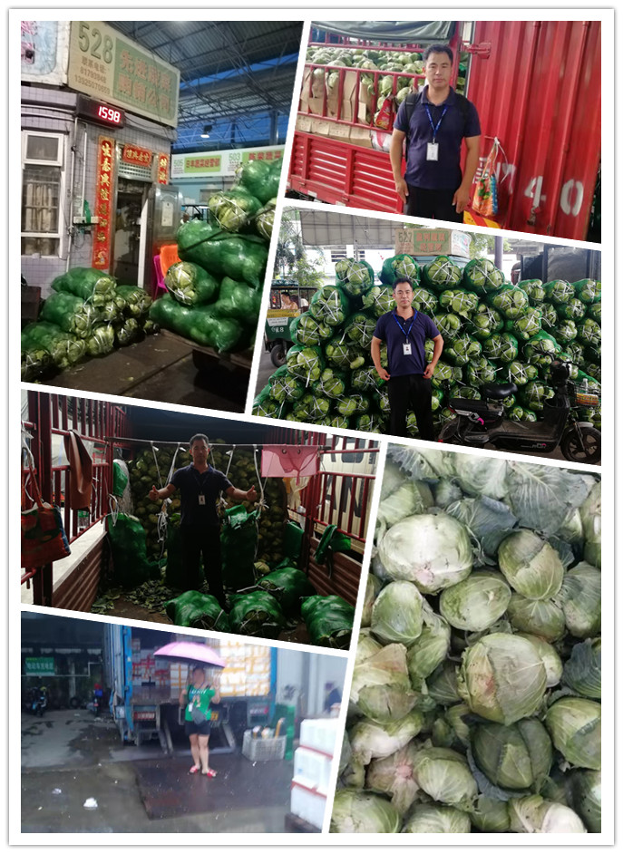 首页-PA真人集团有限公司官网