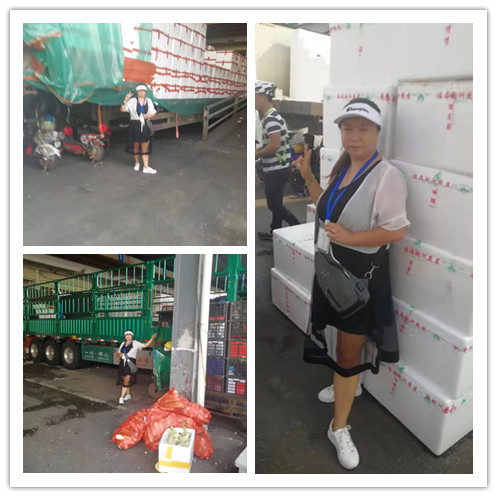 首页-PA真人集团有限公司官网