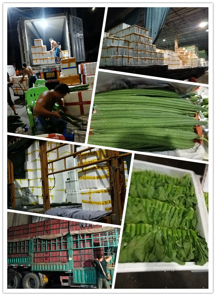 首页-PA真人集团有限公司官网