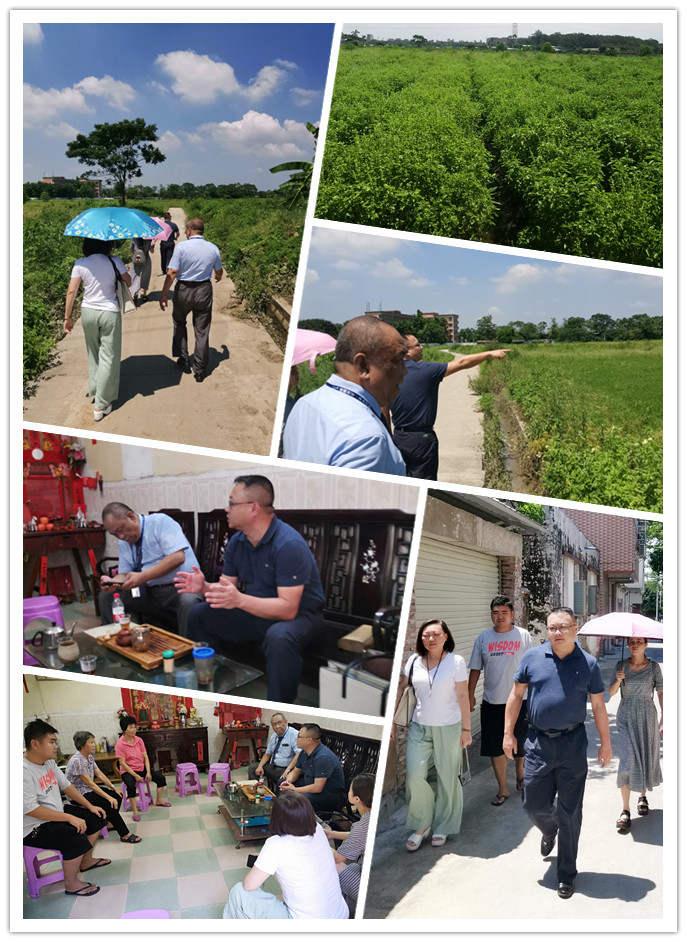 首页-PA真人集团有限公司官网