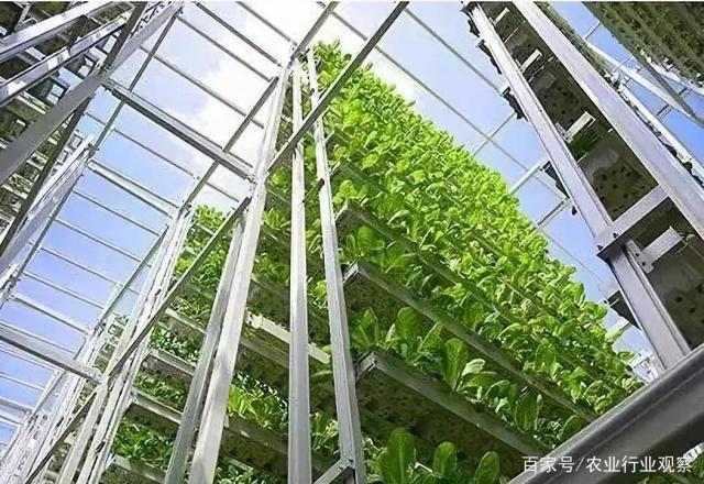 首页-PA真人集团有限公司官网