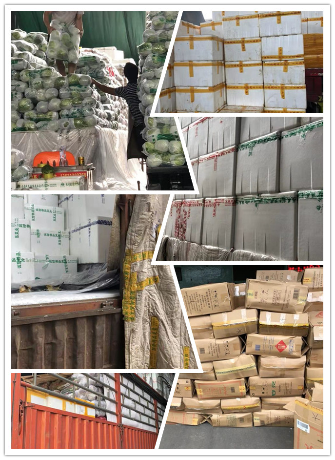 首页-PA真人集团有限公司官网