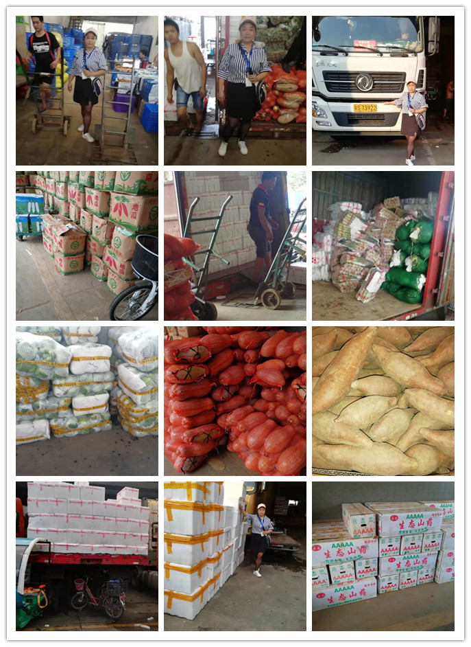 首页-PA真人集团有限公司官网