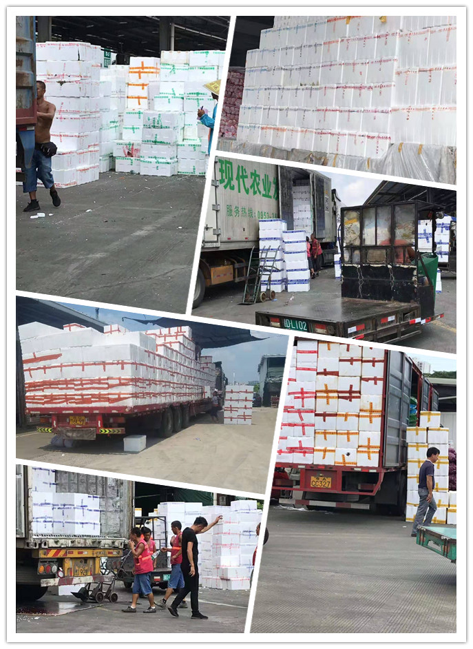 首页-PA真人集团有限公司官网