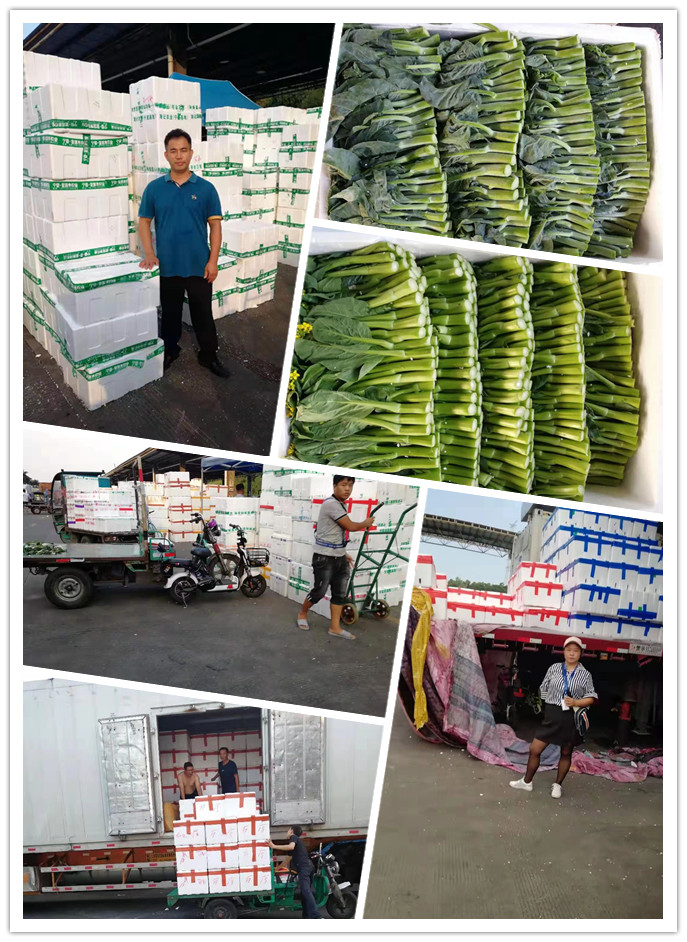 首页-PA真人集团有限公司官网