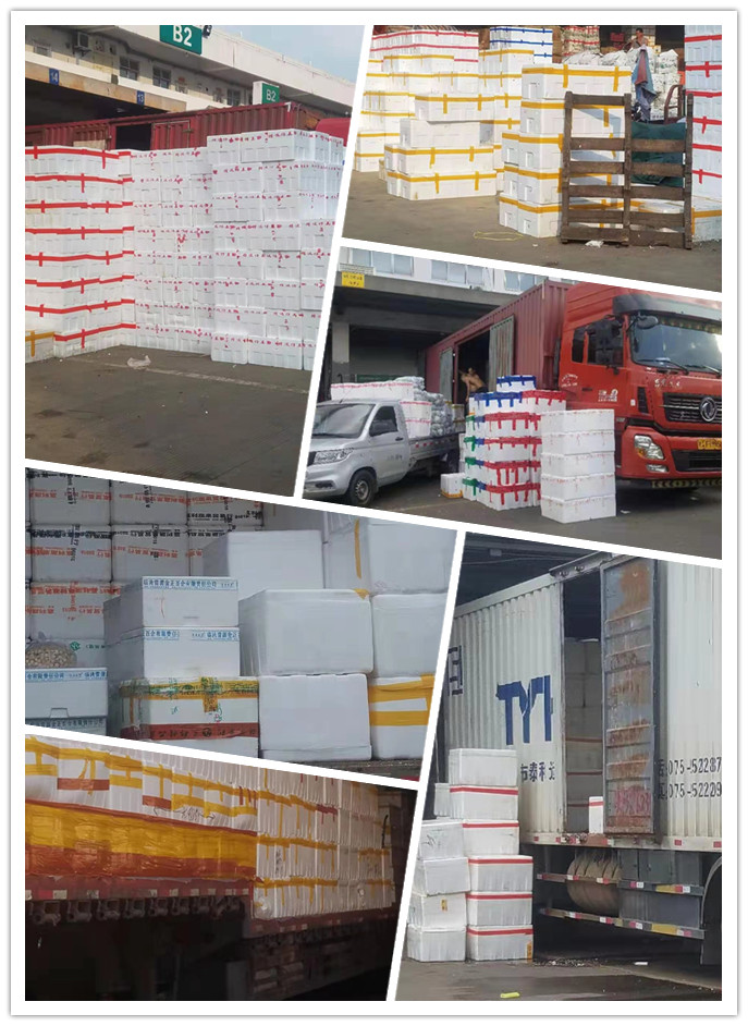 首页-PA真人集团有限公司官网