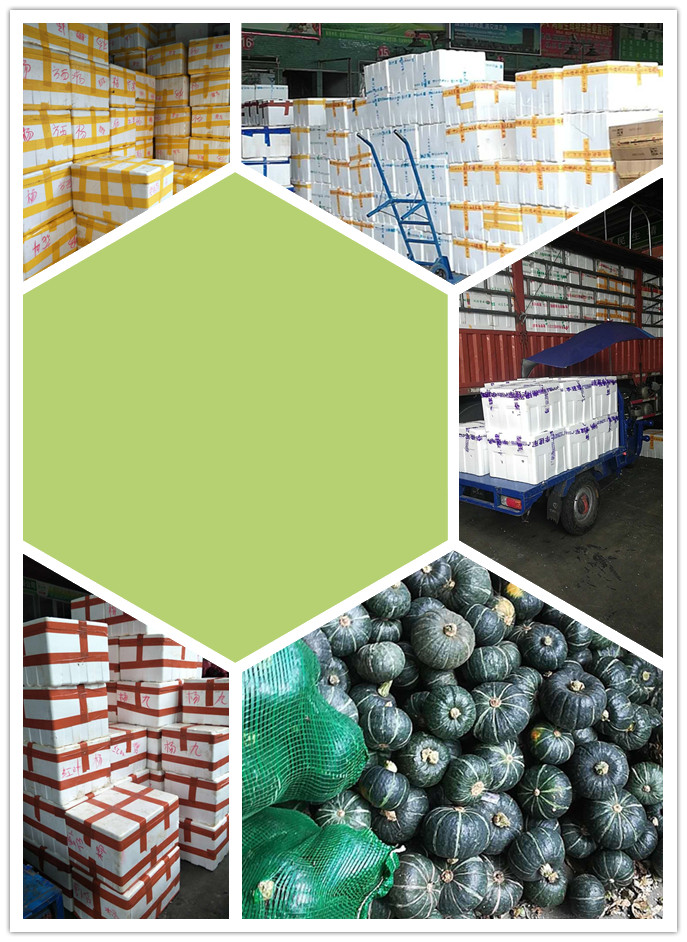 首页-PA真人集团有限公司官网