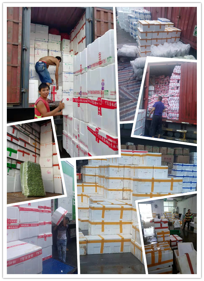 首页-PA真人集团有限公司官网