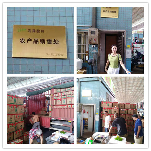 首页-PA真人集团有限公司官网