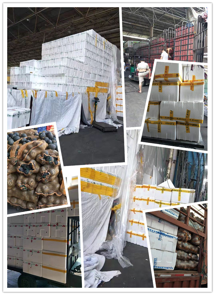 首页-PA真人集团有限公司官网