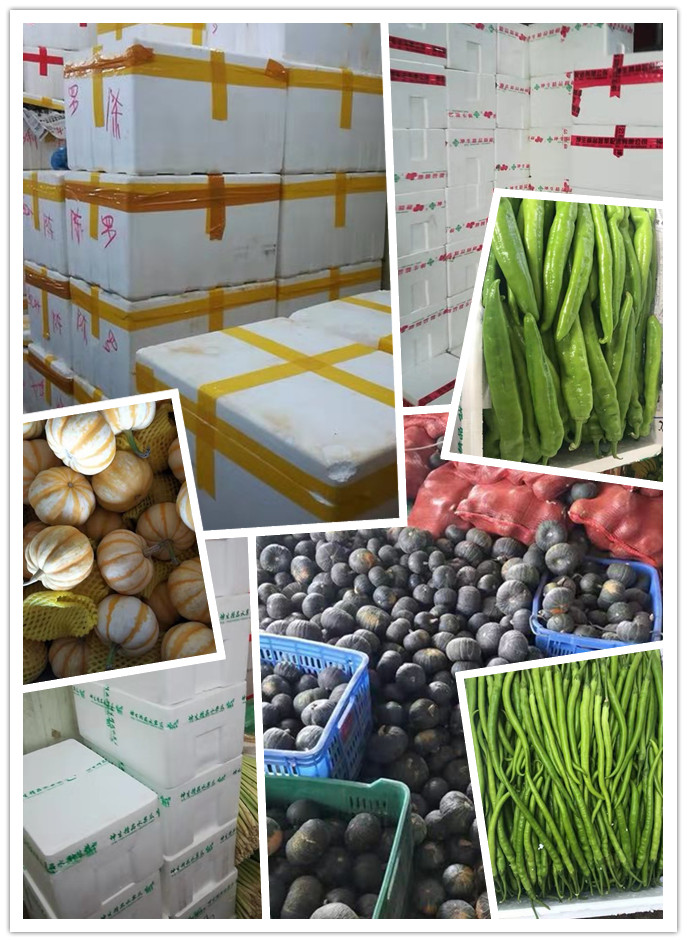 首页-PA真人集团有限公司官网